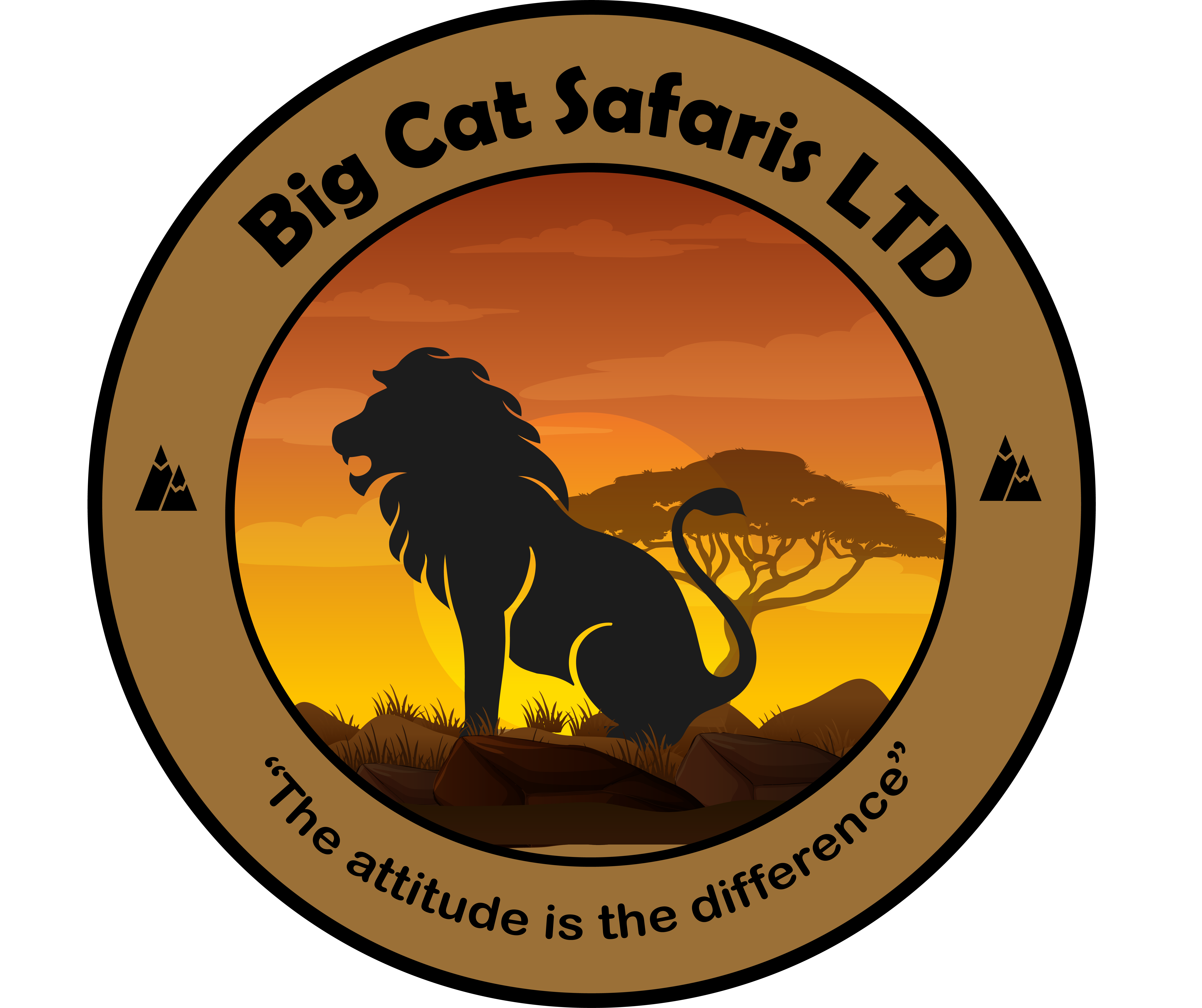 Bigcat Safaris